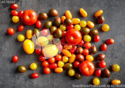 Image of various colorful tomatoes