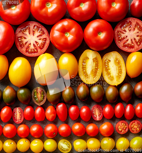 Image of various colorful tomatoes