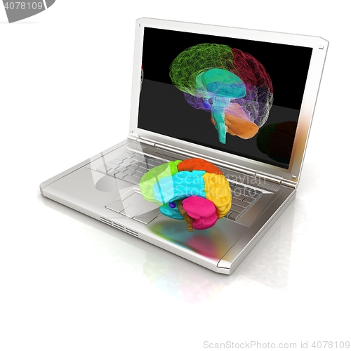 Image of creative three-dimensional model of real human brain and scan on