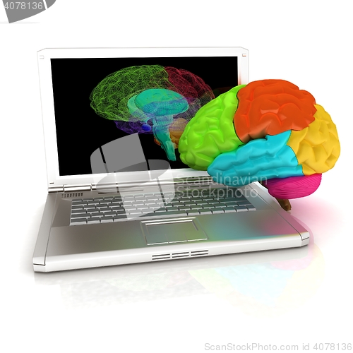 Image of creative three-dimensional model of real human brain and scan on