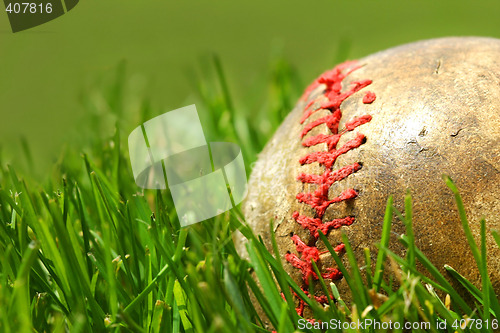 Image of Old baseball glove on the grass