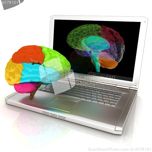 Image of creative three-dimensional model of real human brain and scan on