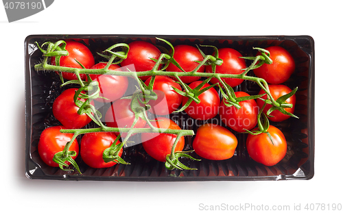 Image of fresh red tomatoes in a plastic box