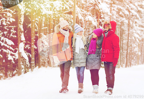Image of group of smiling men and women in winter forest