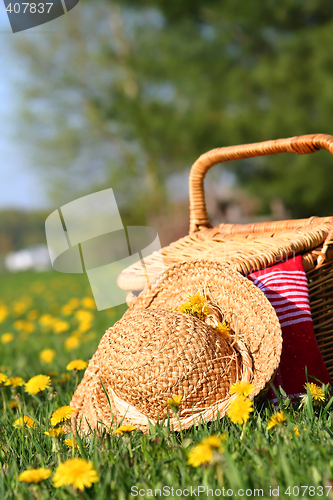 Image of A picnic on the grass