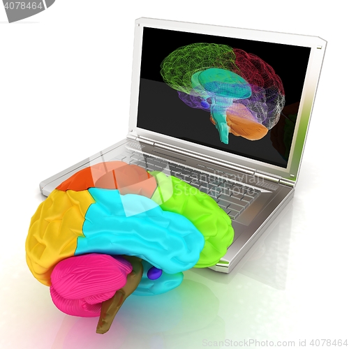 Image of creative three-dimensional model of real human brain and scan on