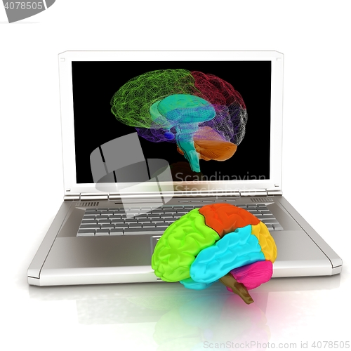 Image of creative three-dimensional model of real human brain and scan on