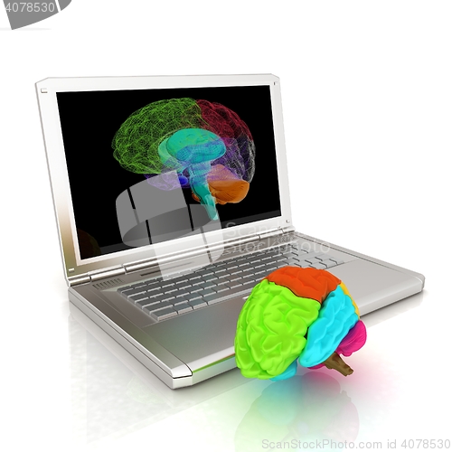 Image of creative three-dimensional model of real human brain and scan on