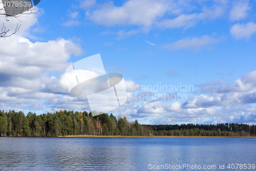 Image of Forest lake in autumn