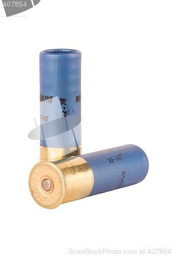 Image of shotgun shells