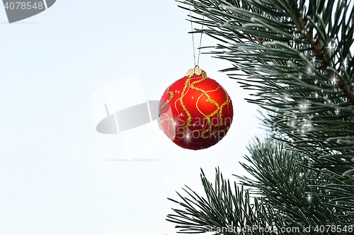 Image of Christmas ball hanging on a pine tree in the forest