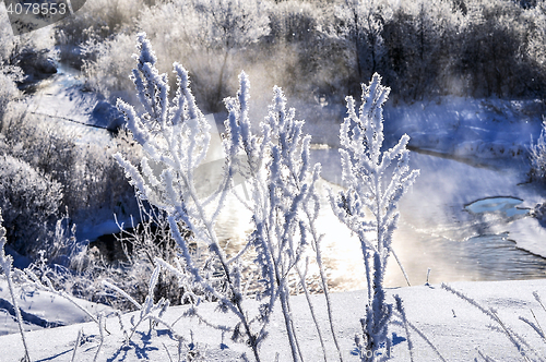 Image of Winter sunny landscape with river and forest