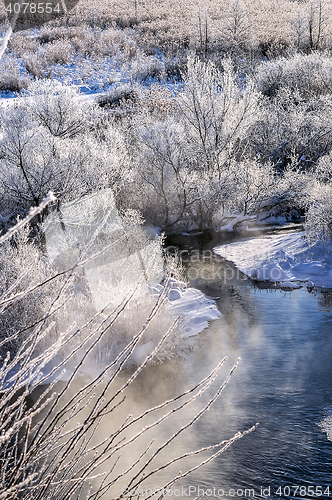 Image of Winter sunny landscape with river and forest