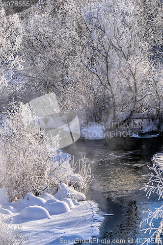 Image of Winter sunny landscape with river and forest