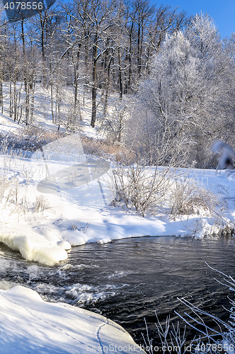 Image of Winter sunny landscape with river and forest