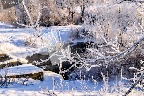 Image of Winter sunny landscape with river and forest