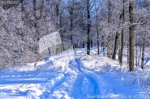 Image of Winter landscape with a road in the forest