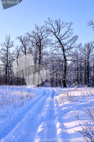 Image of Winter snowy road in a forest on a clear day