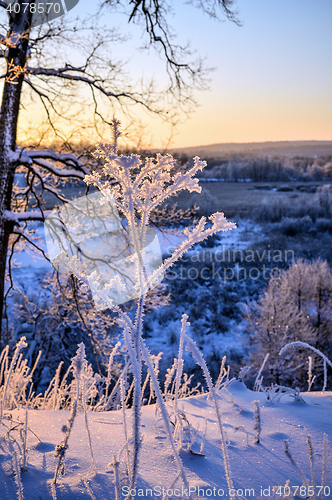 Image of Winter landscape with a beautiful sunrise in the forest