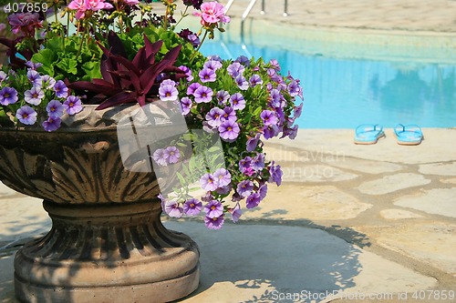 Image of Sandals by the pool