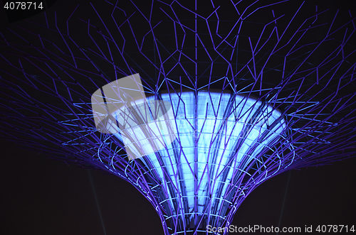 Image of Supertree Grove, Gardens by the Bay in Singapore