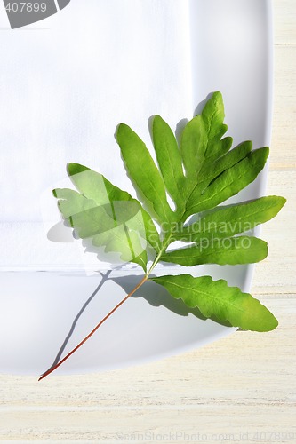 Image of Table napkin and green fern