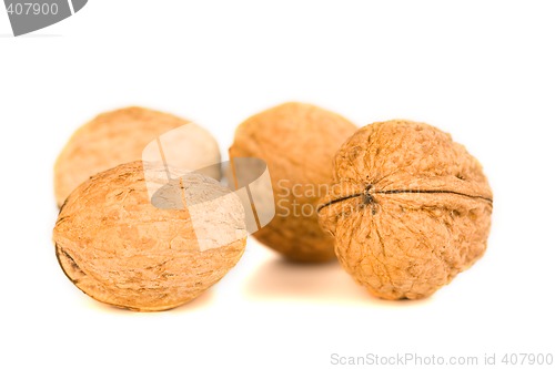 Image of health food walnut snack on isolated background nutshell