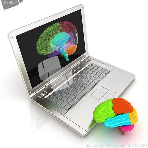 Image of creative three-dimensional model of real human brain and scan on