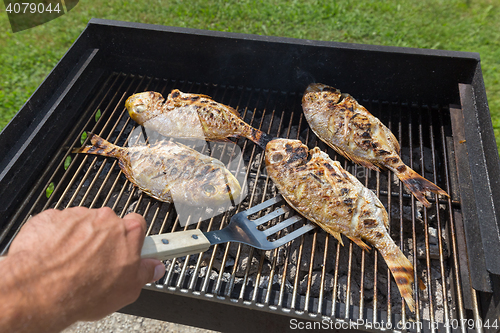 Image of Fish Fried On The Grill Outdoor.