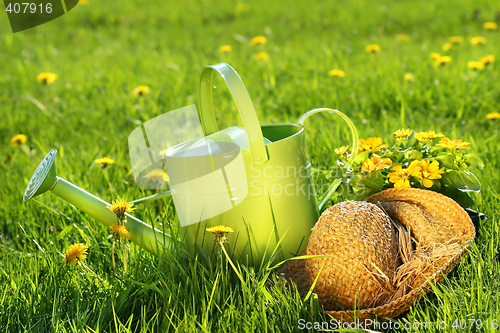 Image of Watering can in the grass