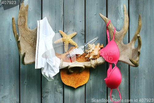 Image of Wild summer cottage weekend