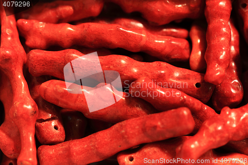 Image of beautiful red coral