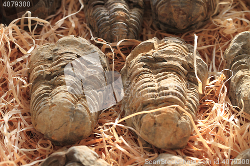 Image of pyrite mineral background