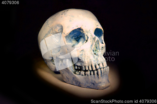 Image of human skull isolated