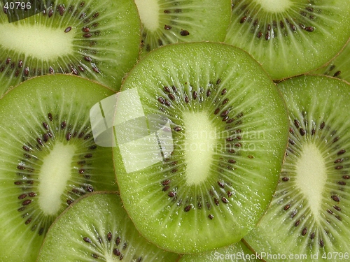 Image of Kiwi