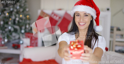 Image of Gorgeous young woman offering an Xmas gift