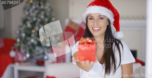 Image of Gorgeous young woman offering an Xmas gift