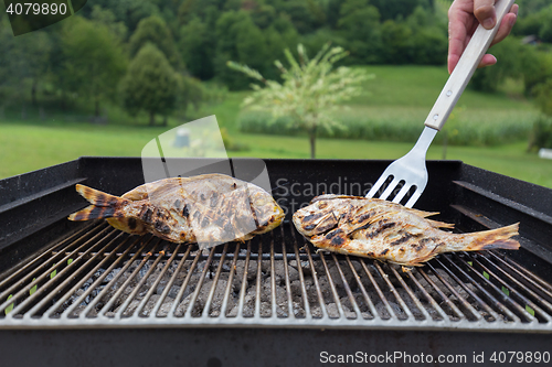 Image of Fish Fried On The Grill Outdoor.
