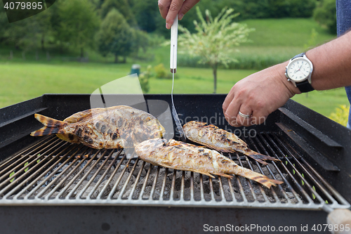 Image of Fish Fried On The Grill Outdoor.