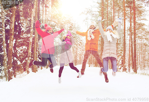 Image of group of smiling men and women in winter forest