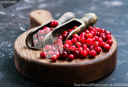 Image of cranberry