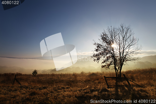 Image of sunrise with fog at autumn