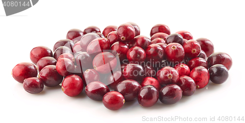 Image of heap of cranberries