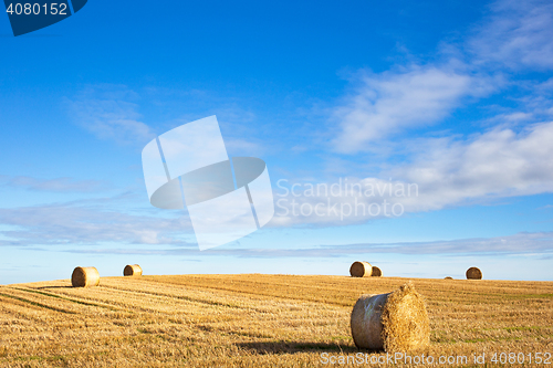 Image of agricultural field and blue sky