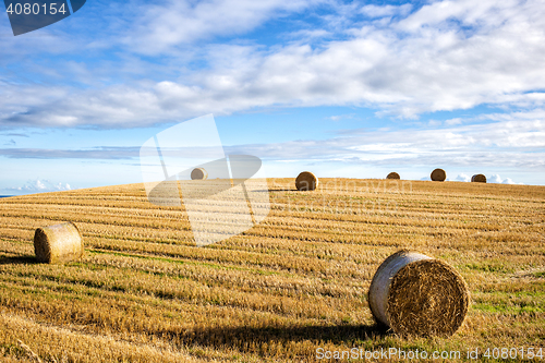 Image of agricultural field and blue sky