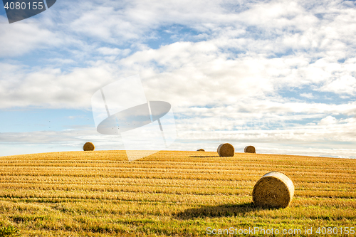 Image of agricultural field and blue sky
