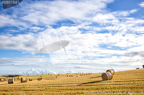 Image of agricultural field and blue sky