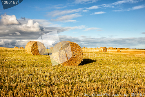 Image of agricultural field and blue sky