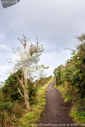 Image of road uphill, Holyrood park, Edinburgh