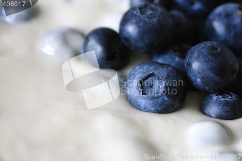 Image of Blueberries